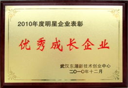 武汉时代地智科技股份 油田勘探开发软件研发与技术服务的领航者