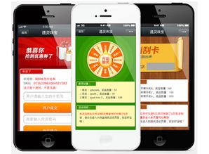 石家庄某科技公司涉嫌开发并销售非法“轰炸群发”手机软件被查处